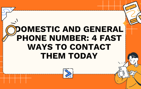 Domestic and General Phone Number: 4 Fast Ways to Contact Them Today