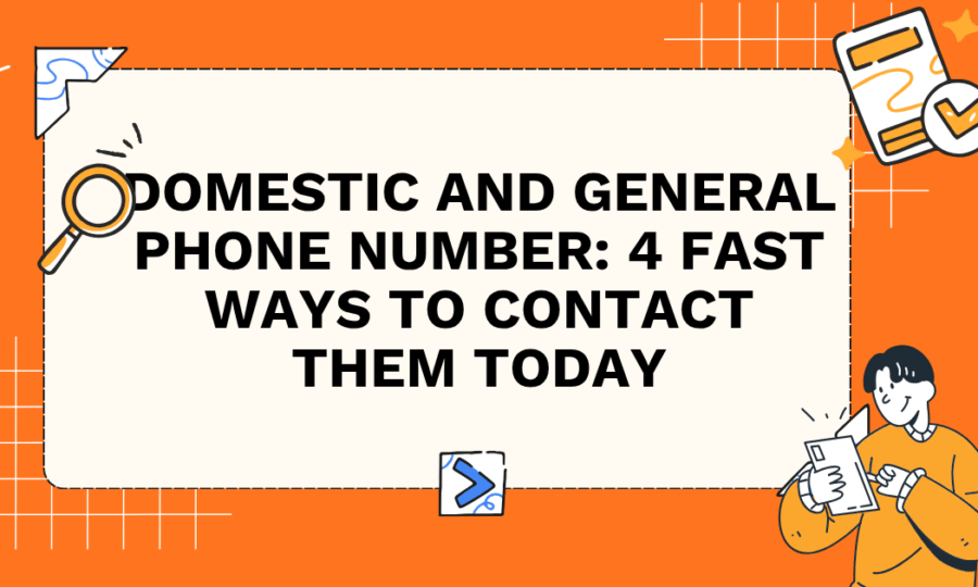 Domestic and General Phone Number: 4 Fast Ways to Contact Them Today