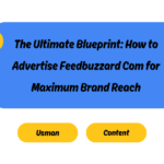 Programmatic Efficiency: Analyzing the Architecture to Advertise Feedbuzzard Com
